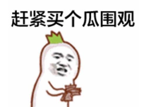 周日快乐吃瓜群众图片大全,趣味吃瓜图鉴大盘点