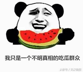 做不起吃瓜群众的事,投身实践,成就非凡人生