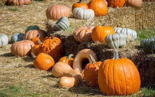 吃瓜群众买什么好吃的东西,盘点夏日消暑美食清单