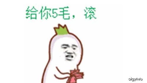 一只搞笑的吃瓜群众,笑料百出!吃瓜群众带你领略搞笑瞬间