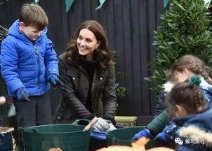 吃瓜群众Emily,揭秘娱乐圈幕后故事