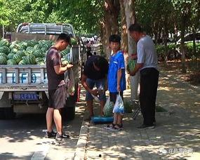 那曲吃瓜群众,揭秘当地新鲜趣事