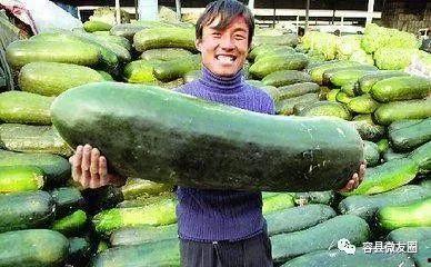 吃瓜群众第七天,事件真相与幕后故事