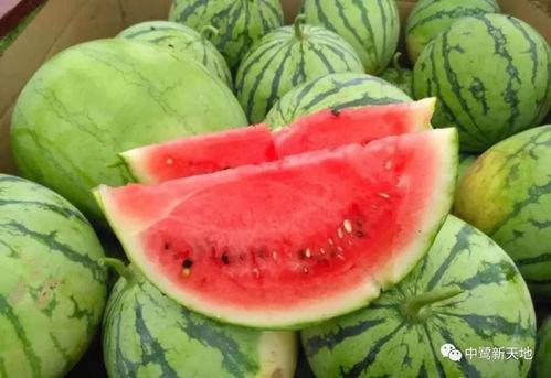 吃瓜群众爸妈,揭秘娱乐圈背后的故事