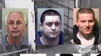 庐阳吃瓜群众案件最新,网络舆论漩涡中的法律边界与道德拷问