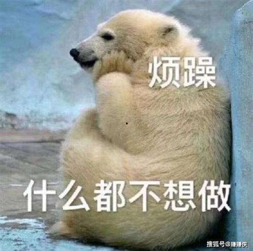 骄傲的吃瓜群众图片搞笑,笑翻你的朋友圈!