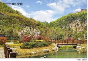 资江河畔的吃瓜群众,吃瓜群众的欢乐时光