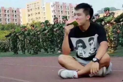 吃瓜群众许佳,吃瓜群众的趣味人生