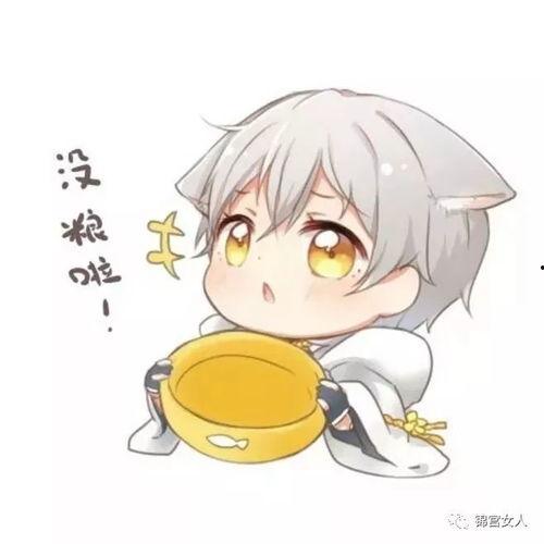 乖巧的吃瓜群众是什么,揭秘网络时代的围观智慧