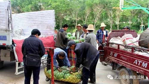 吃瓜群众铭仁园,吃瓜群众眼中的社区生活画卷